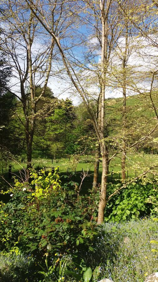 Idyllic Country Garden Pension Manakau Buitenkant foto